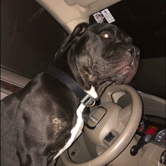 Meet your Posher, Kaila - Picture 1 of 1